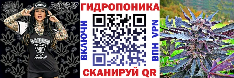 купить  сайты  Рыбное  Марихуана ГИДРОПОН 